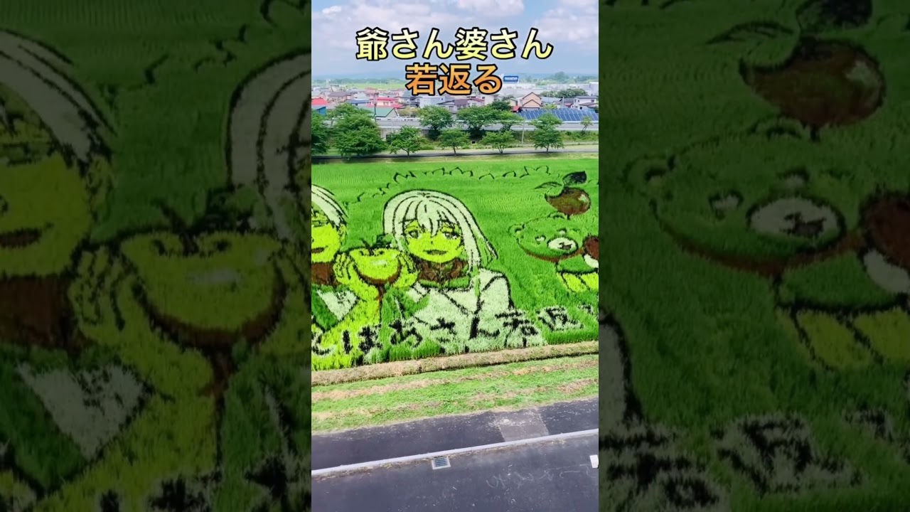 田んぼアートだよ