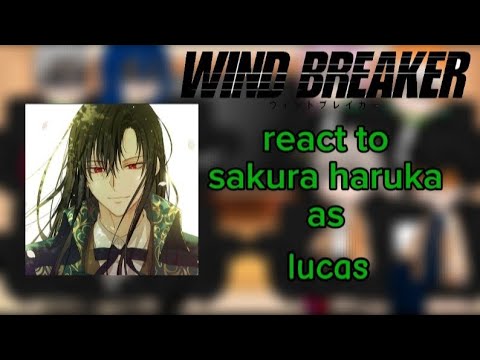 || Wind breaker || react to || Sakura Haruka as || LUCAS  Part 1/2 🤙🤙