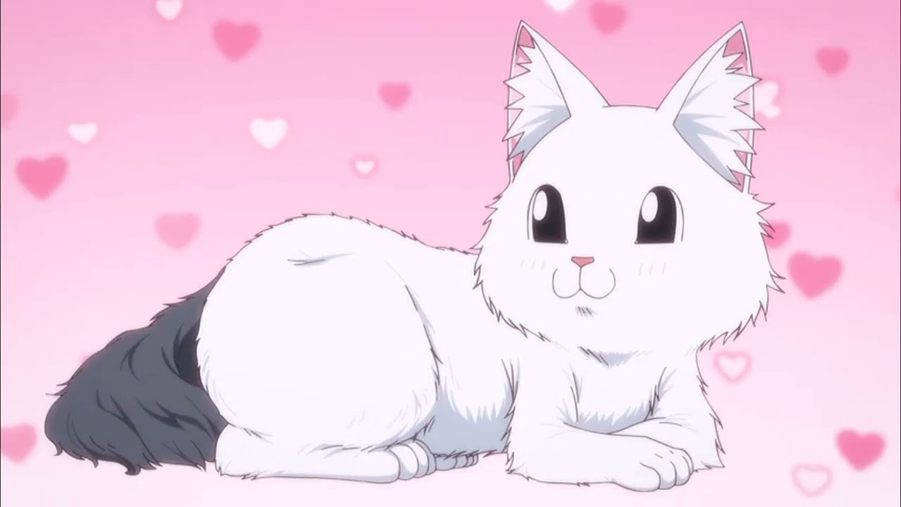 五杯目『ブラシは猫を饒⾆にする』