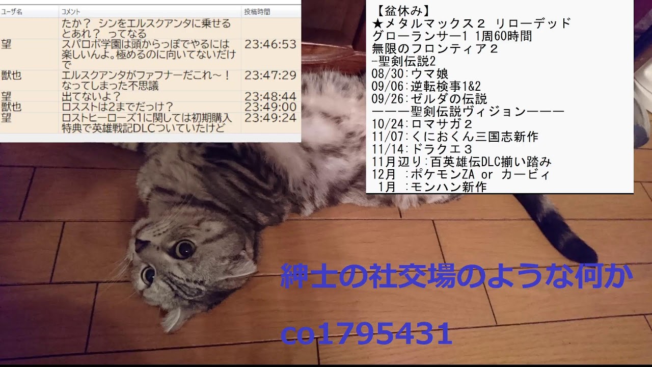 【ただいま】帰ってきたぞThat's DAN!!【おかえり】