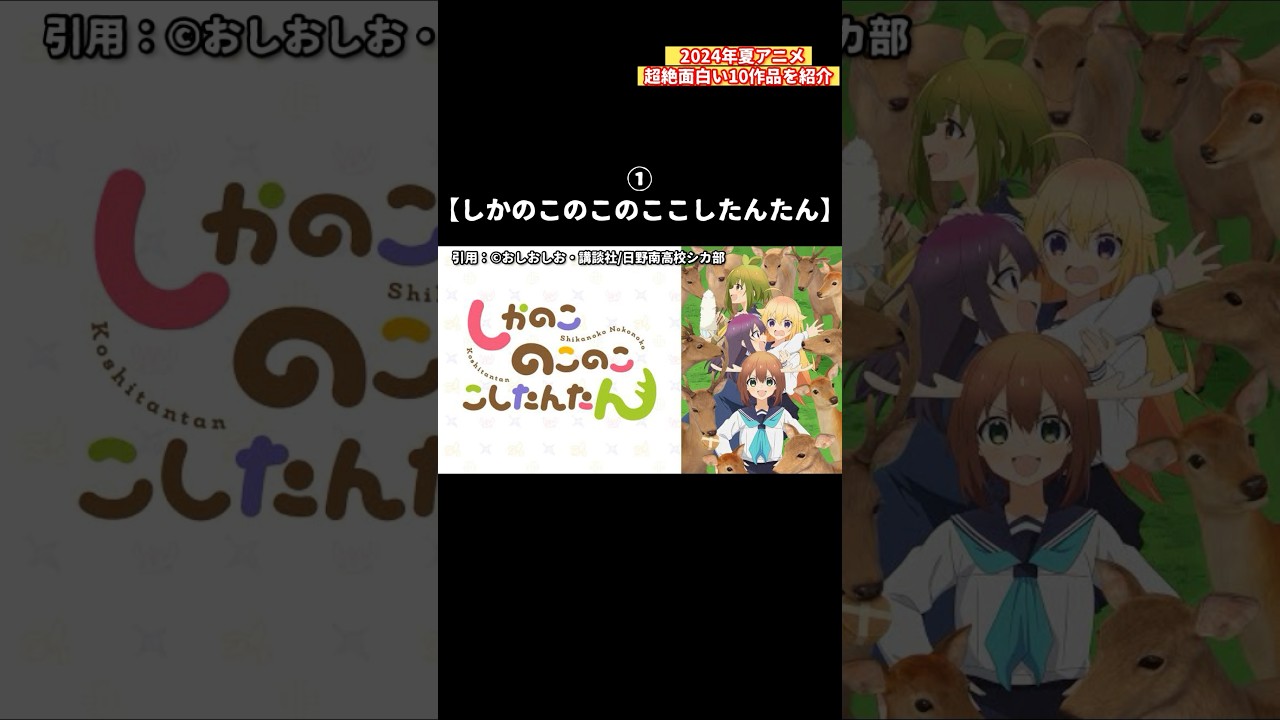 【厳選10作品】絶対に見てほしい2024年夏アニメを紹介します しかのこのこのここしたんたん 義妹生活 ロシデレ 小市民シリーズ 異世界スーサイド・スクワッド 負けヒロインが多すぎる! 逃げ上手の若君