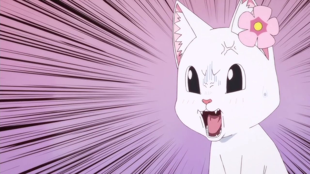 二杯目オープニング