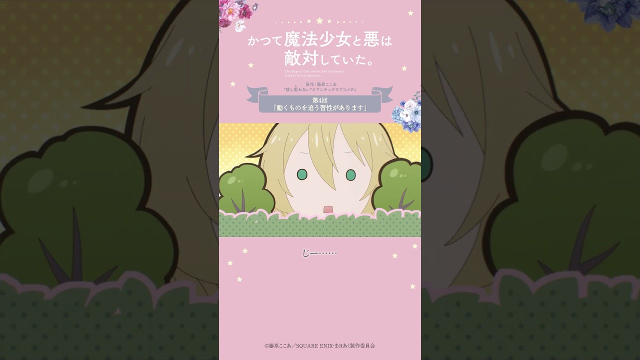 魔法少女弁当 from『#かつて魔法少女と悪は敵対していた』 #まほあく #第4回 #動くものを追う習性があります #アニメ #mahoaku #shorts
