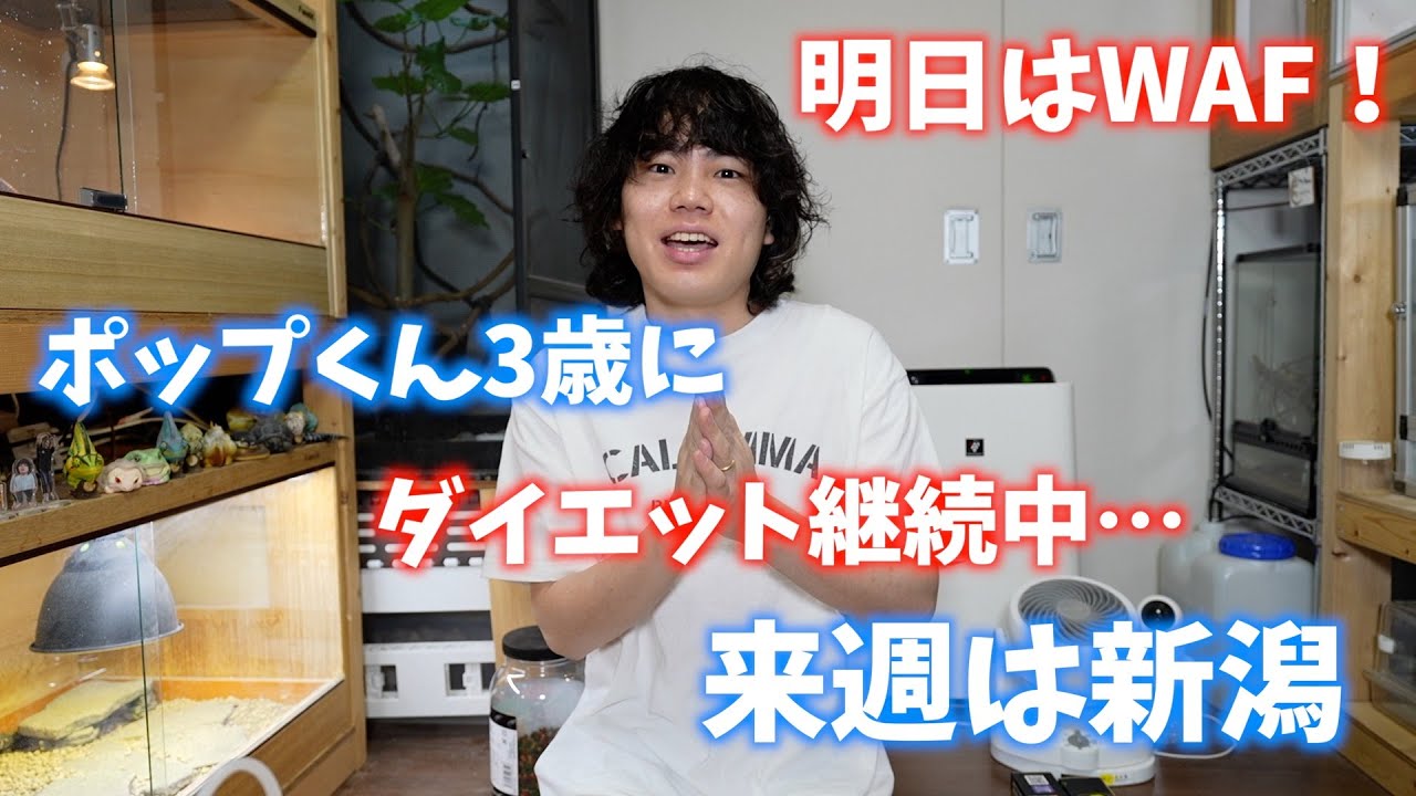 今週もおつぴこでしたねん