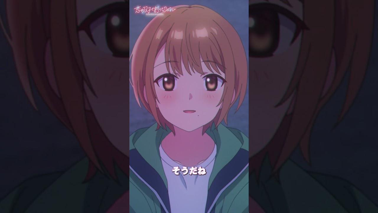 「おりさせてなんか、あげないよ」【恋は双子で割り切れない】