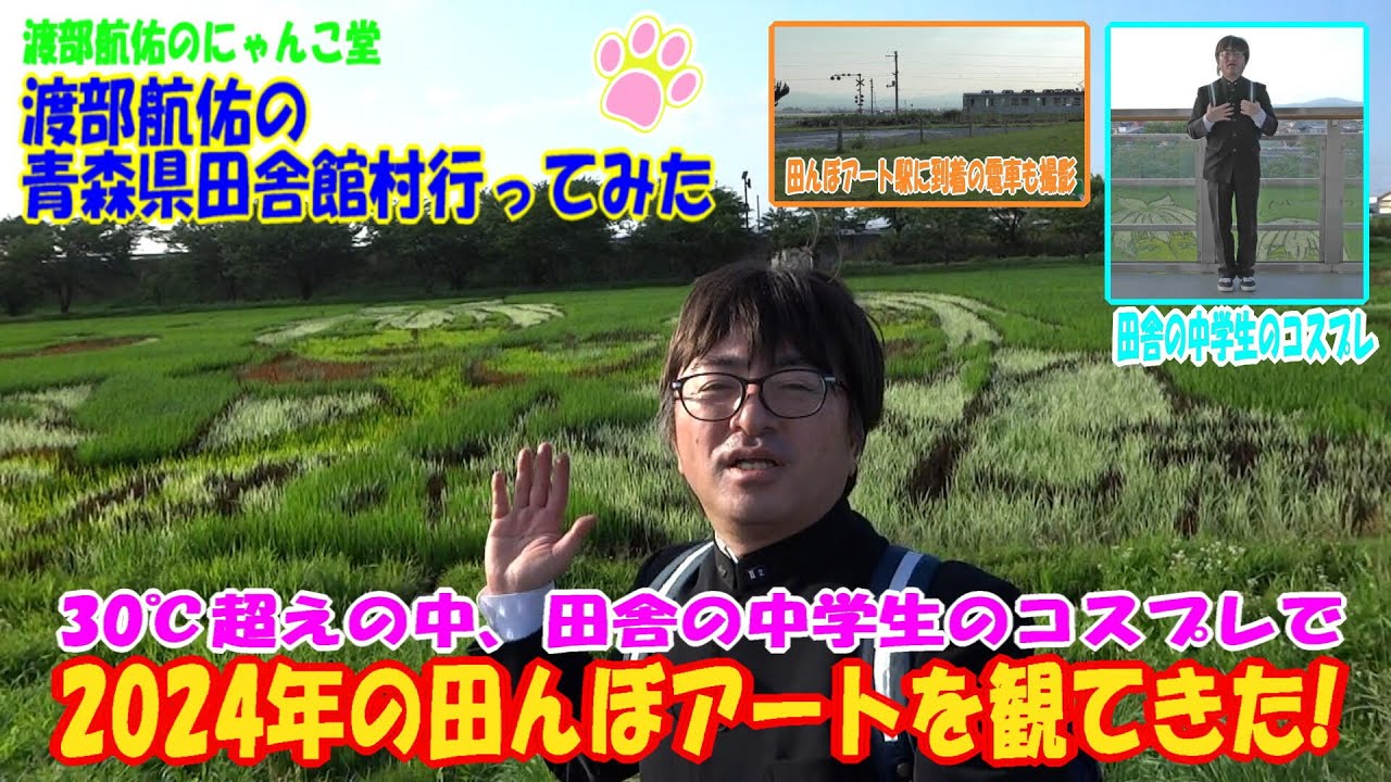 渡部航佑の青森県田舎館村行ってみた - 2024年の田んぼアートを観てきた!