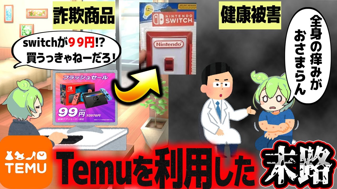Temuを利用するとどうなるか知ってる？【ずんだもん解説】