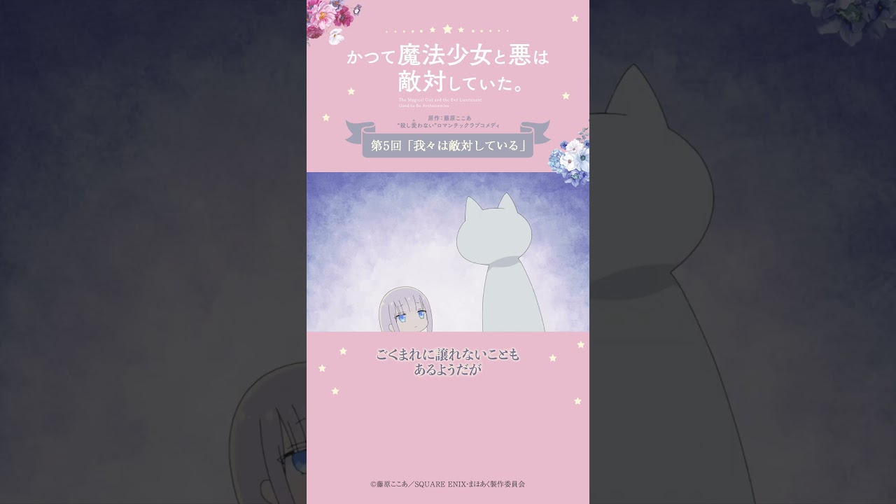 白夜と御使い（猫） from『#かつて魔法少女と悪は敵対していた。』 #まほあく #第5回 #我々は敵対している #アニメ #mahoaku #shorts