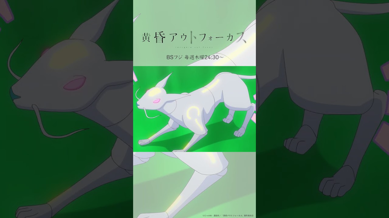 「アップ」／TVアニメ『黄昏アウトフォーカス』