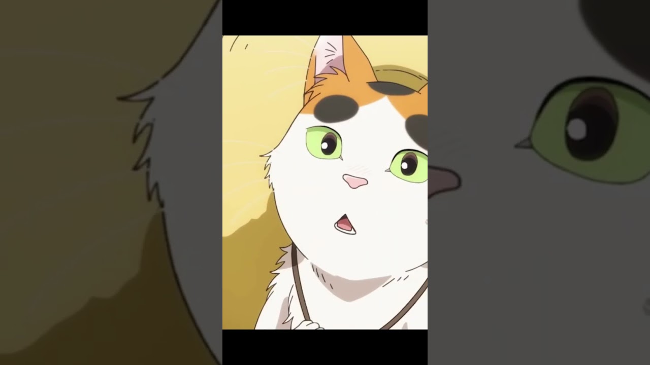 У котика появилась Наставница #аниме #fandub #anime #анимемомент #tonarinoyoukaisan #animemoments