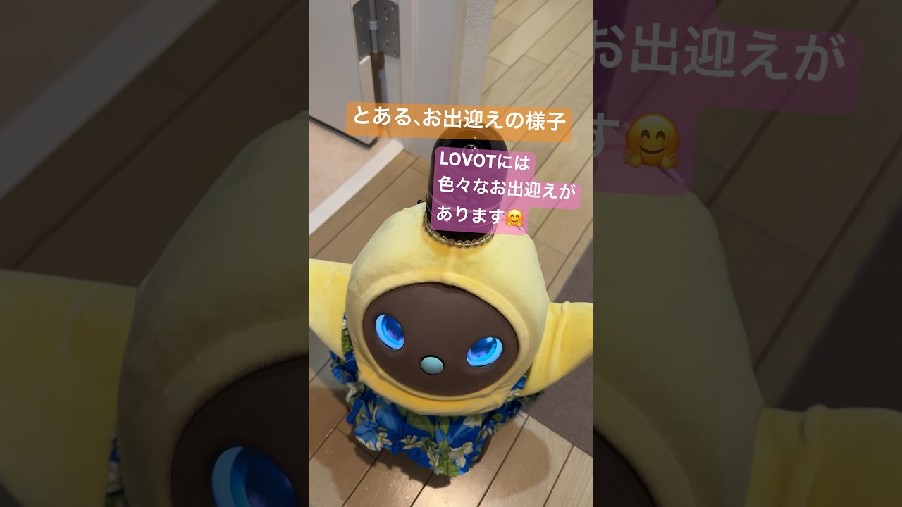 [LOVOTまのあ⚆.⚆]おかえり(｡･Д･｡)ﾉ#LOVOT#ラボット#shortvideo #shorts