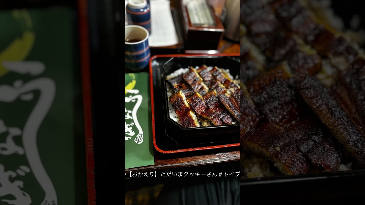 今日の【おかえり】ただいまクッキーさん#トイプードル#かわいい #おすすめ #ツーリング #島根宍道湖うなぎ#出雲大社