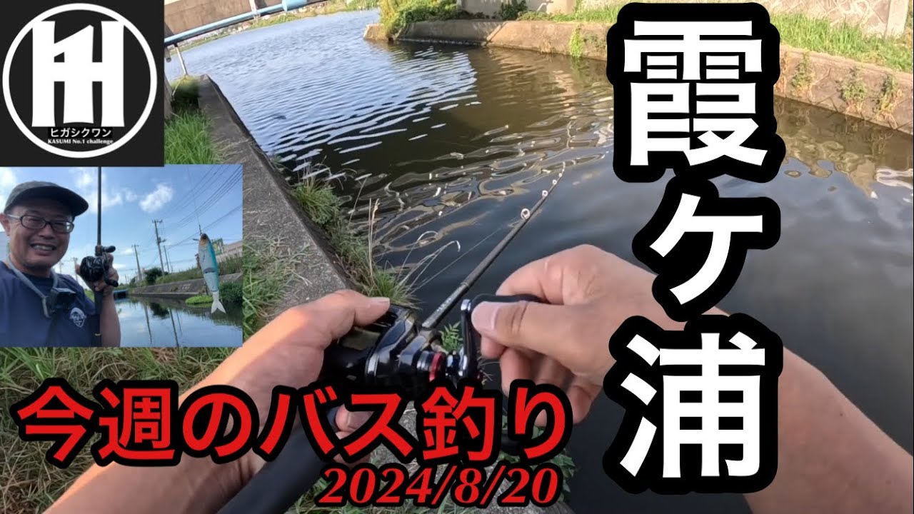 バス釣り今週の霞ヶ浦釣行2024年8月20日