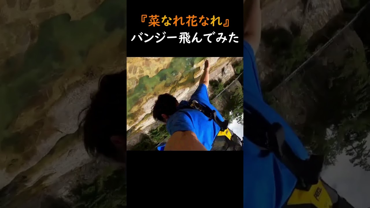 【菜なれ花なれ】聖地でバンジー飛んでみた #菜なれ花なれ #PoMPoMs #バンジージャンプ #諏訪峡大橋 #みなかみバンジー #聖地巡礼 #群馬県 #みなかみ町 #shorts