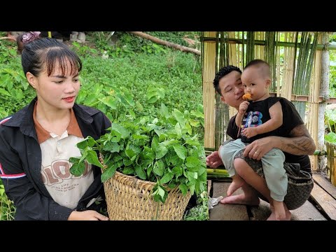 Husband stayed home to complete the new kitchen & Mom went to harvest water spinach to sell