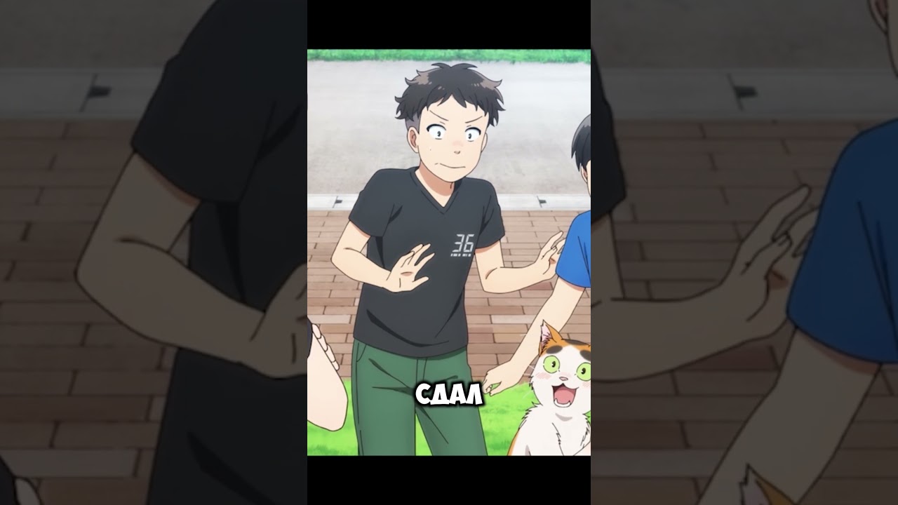 Котик сдал экзамен, благодаря поддержке #аниме #fandub #tonarinoyoukaisan #anime #анимемомент