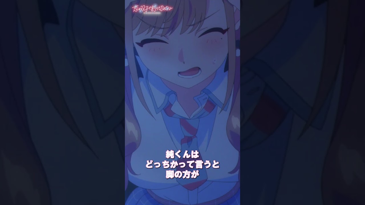 「嫉妬？あり得ない！」【恋は双子で割り切れない】