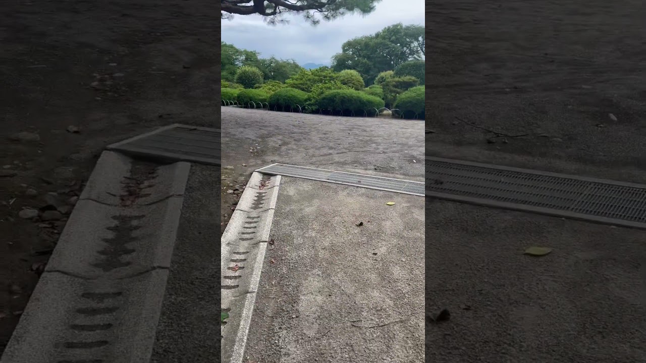 沼田城の檻⚾️ #沼田城　#japantravel #旅行 #菜なれ花なれ