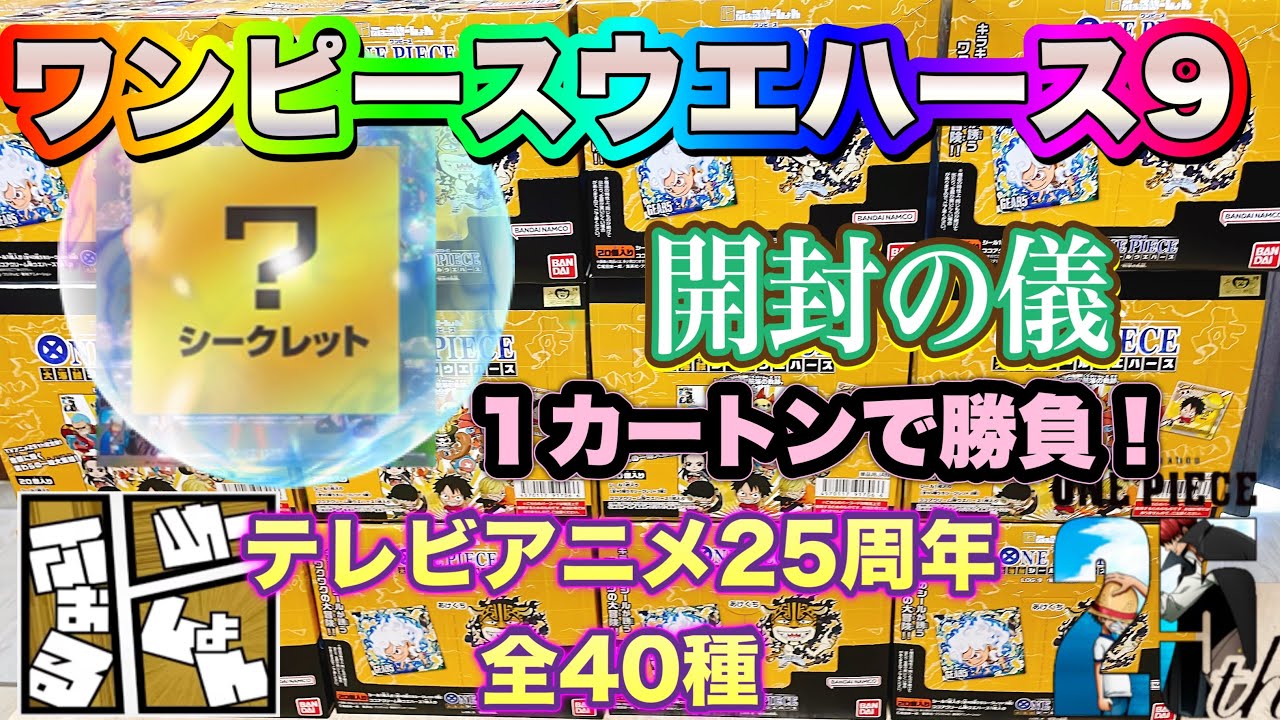 ワンピース大海賊シールウエハースLOG.9開封の儀　テレビアニメ25周年！全40種の壁を超えろっ！控えめに言って‥最高です【ONE PIECE】