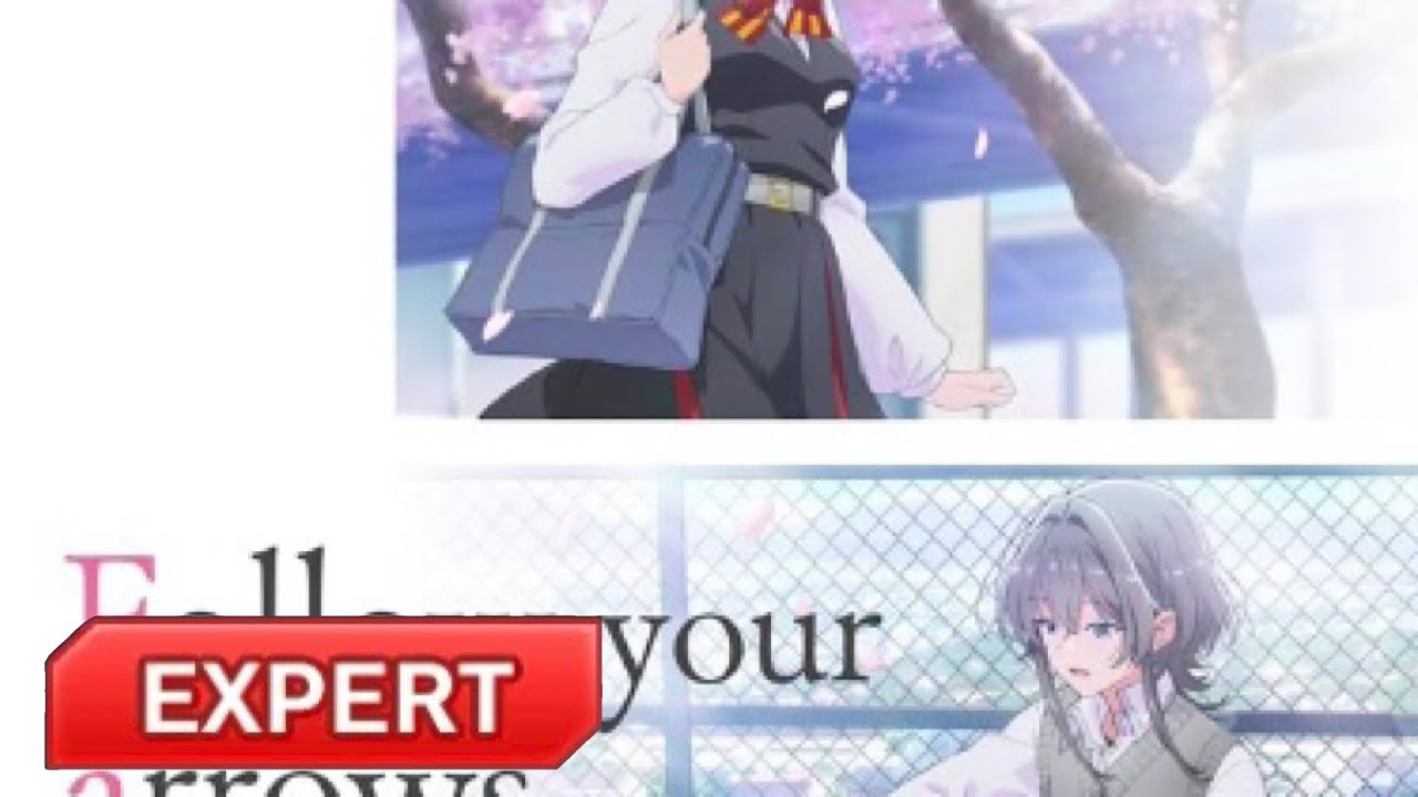 Follow your arrows [理論値PFC / Lv.13 / 画面収録]【D4DJグルミク】