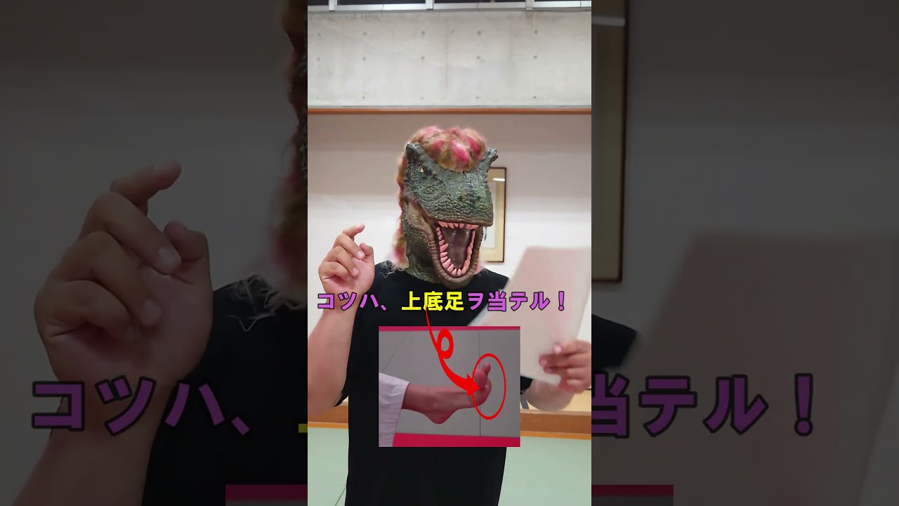 【テコンドー】某漫画のオマージュ！テコンドー独学LESSON.１【ITF】