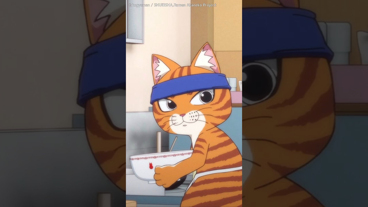 どのシーンがお気に入りですか？🐱 #shorts #ラーメン赤猫