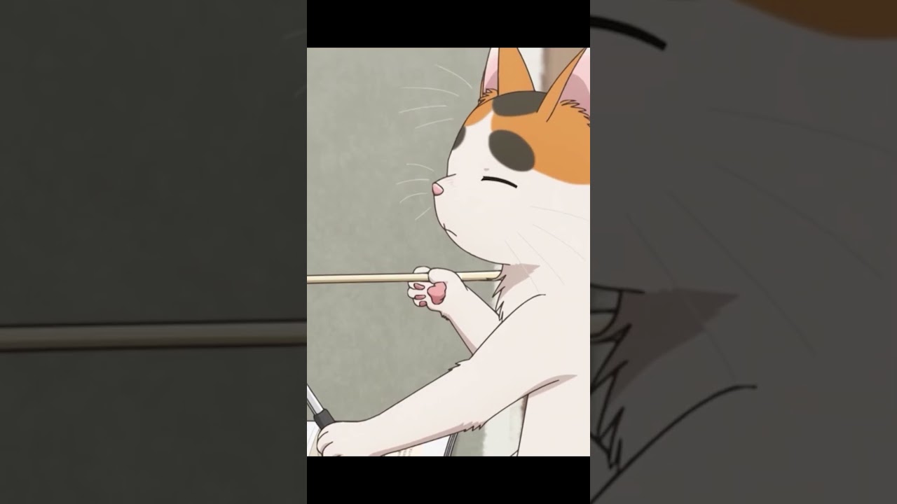 Котик превратил поварешку в Лук #fandub #аниме #anime #tonarinoyoukaisan