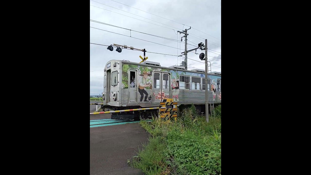 弘南鉄道　じいさんばあさん若返るラッピング列車　#じいさんばあさん若返る #ラッピング列車 #弘南鉄道 #田んぼアート駅