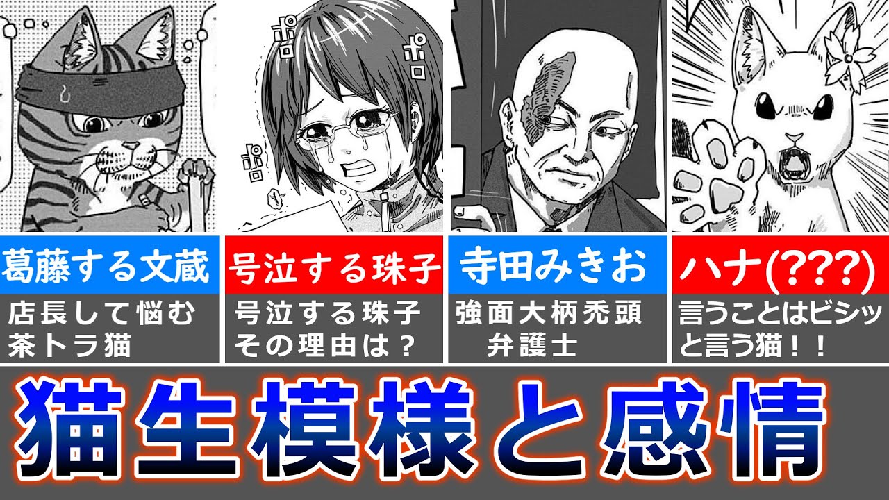 癒し系ラーメン猫漫画『ラーメン赤猫』1巻前半を熱く語る！ 後半に続きます