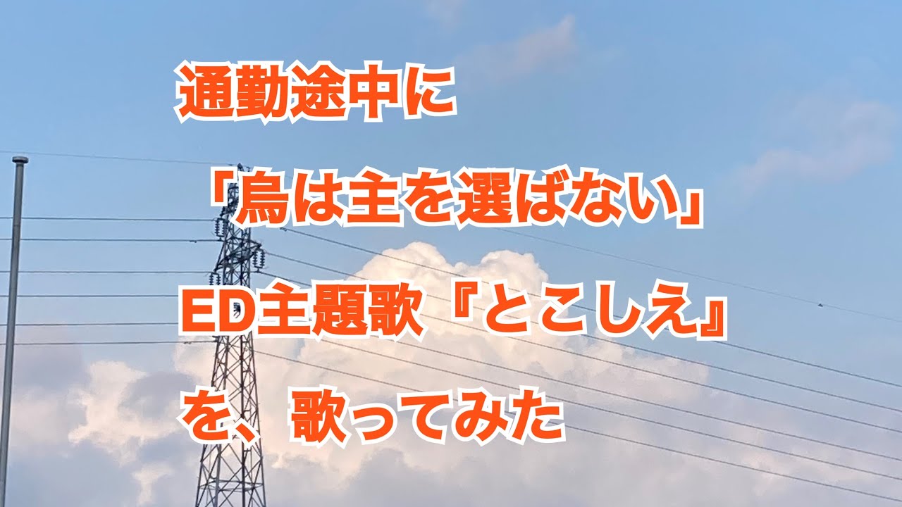 361  通勤途中に、アニメ「烏は主を選ばない」のED主題歌『とこしえ』を歌ってみた　#烏は主を選ばない  #歌ってみた #アニソン