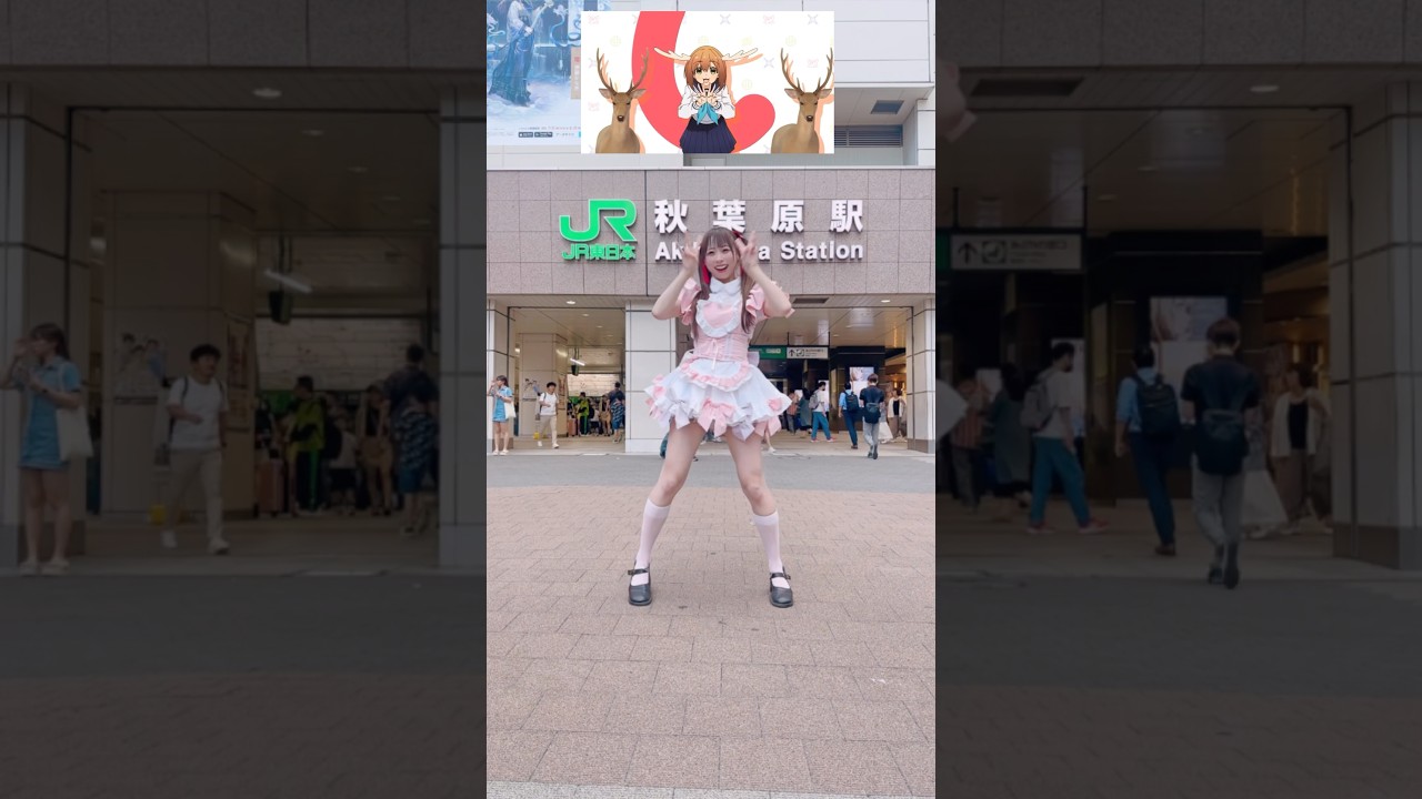 【秋葉原で】しかのこのこのここしたんたん 公式OP 踊ってみた #メイド #シカ色デイズ #shorts