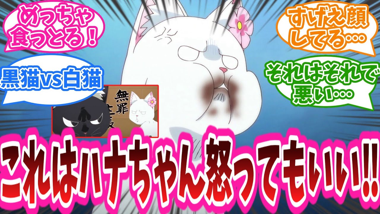 「これはハナちゃん怒ってもいい‼」アニメ『ラーメン赤猫』9話に対する視聴者の反応集【ラーメン赤猫】