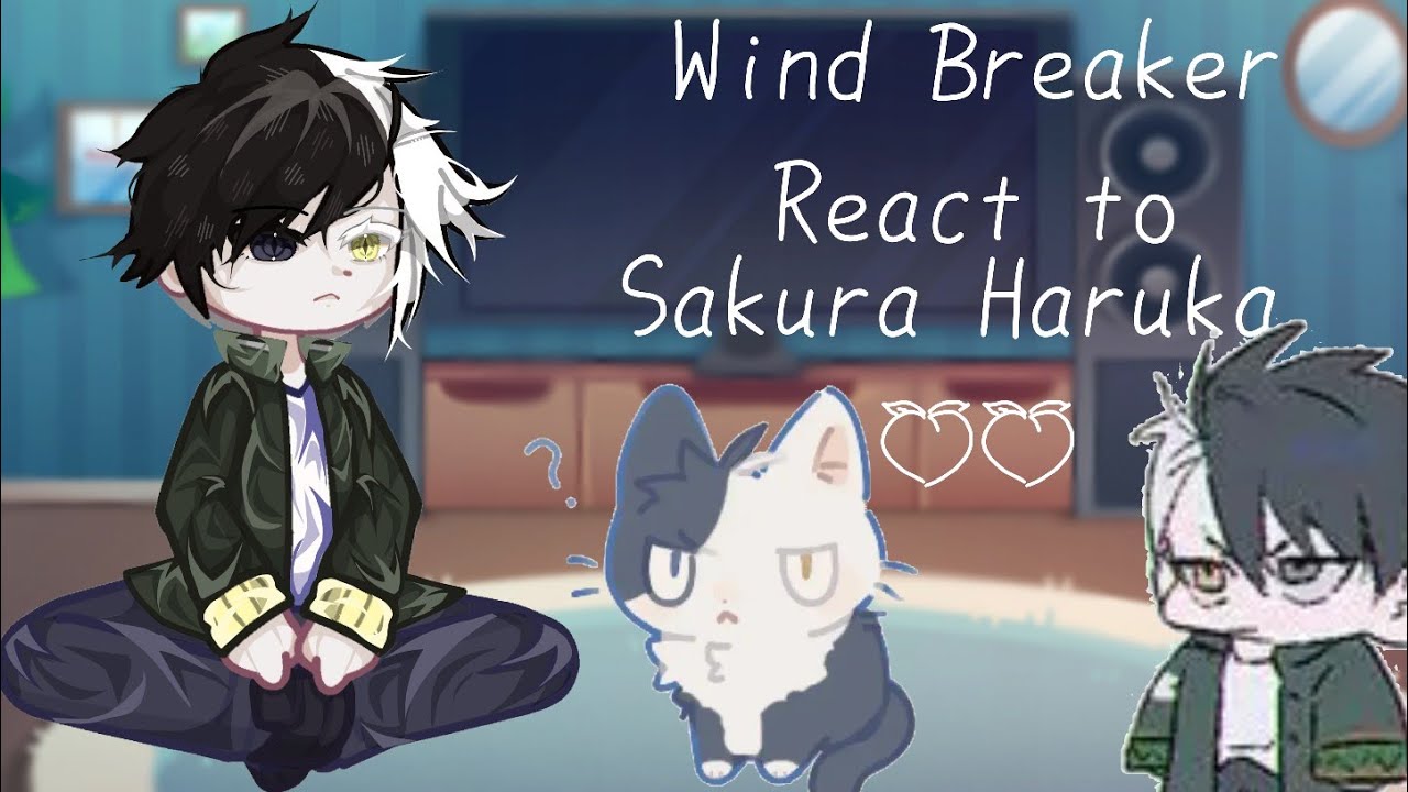 Wind Breaker React To Sakura Haruka //Part1/?//By: Kerri_Meoz//WB-Nii Satoru//