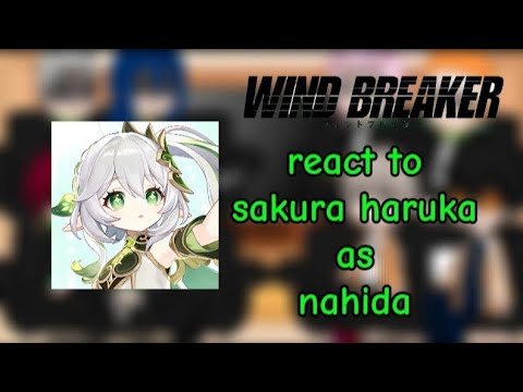 WIND BREAKER || react to || Sakura Haruka as •/ nahida ❤️‍🔥❤️‍🔥 || Gacha react ||