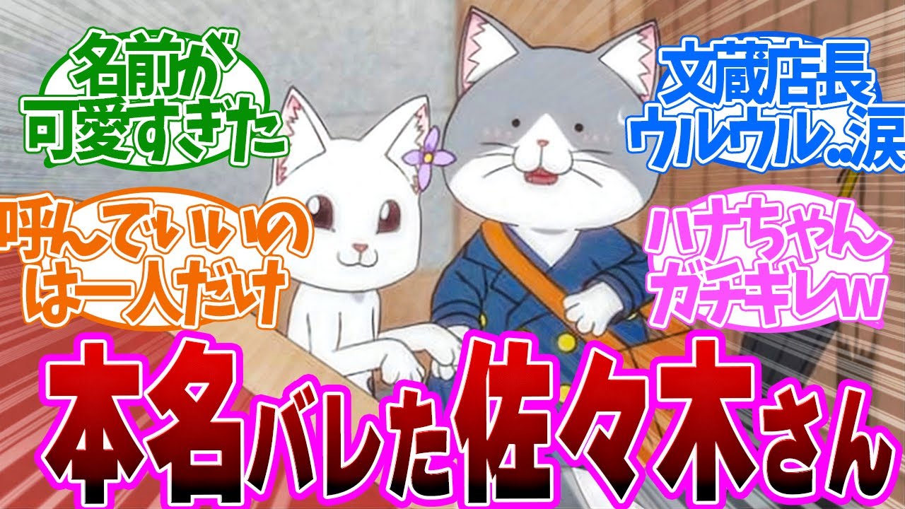 【 赤猫 9話 】超レア！名前呼びされた照れ顔の佐々木さんが可愛すぎた！第９話の読者の反応集【 アニメ ラーメン赤猫 】