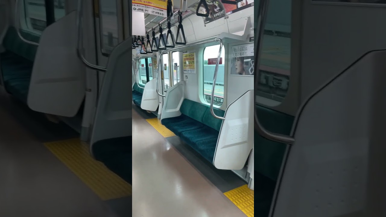 貸切のﾄｳｷｮｳﾘﾝｶｲｺｳｿｸﾃﾂﾄﾞｳﾘﾝｶｲﾗｲﾝ withせみすぺ #鉄ヲタ #カオス