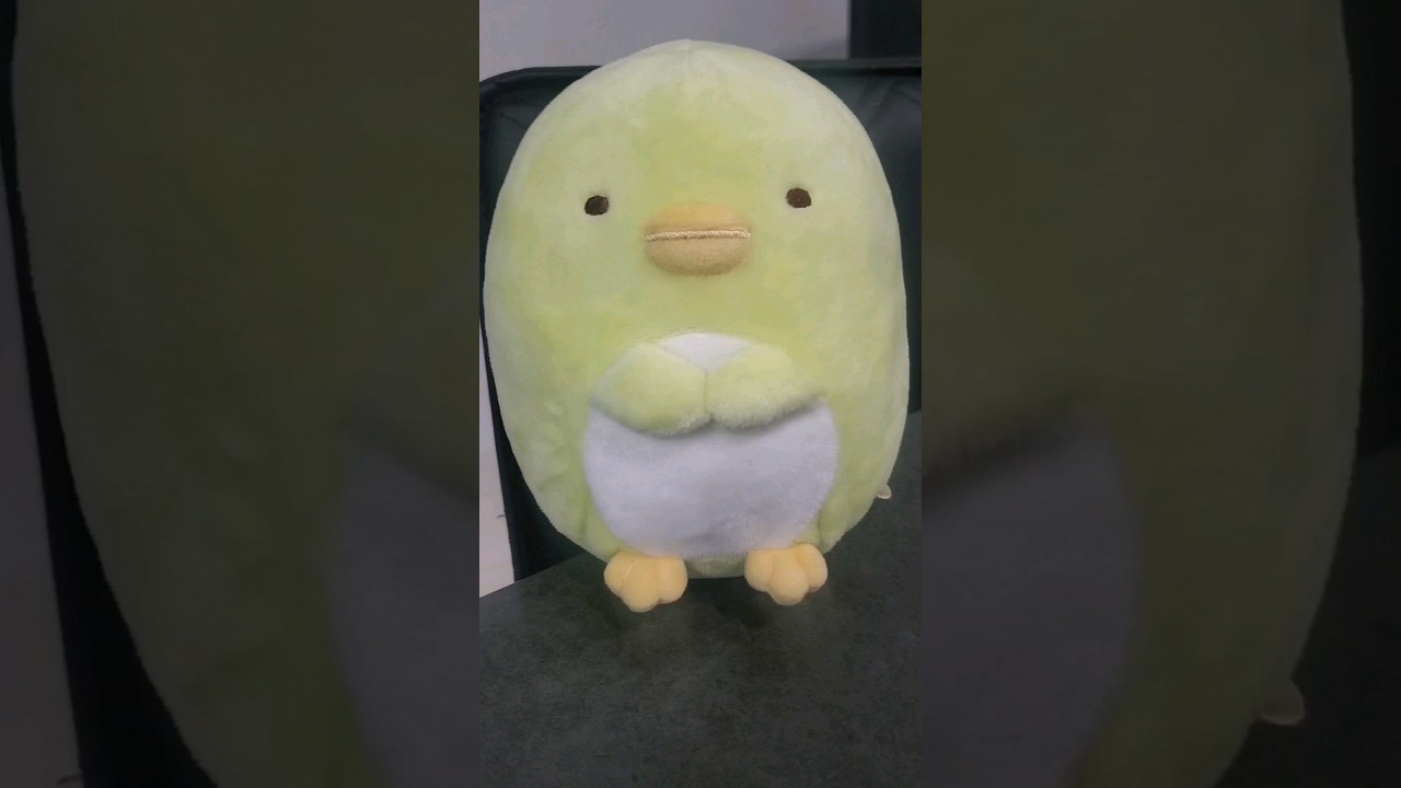 ラーメン赤猫#ねこ #激ウマ