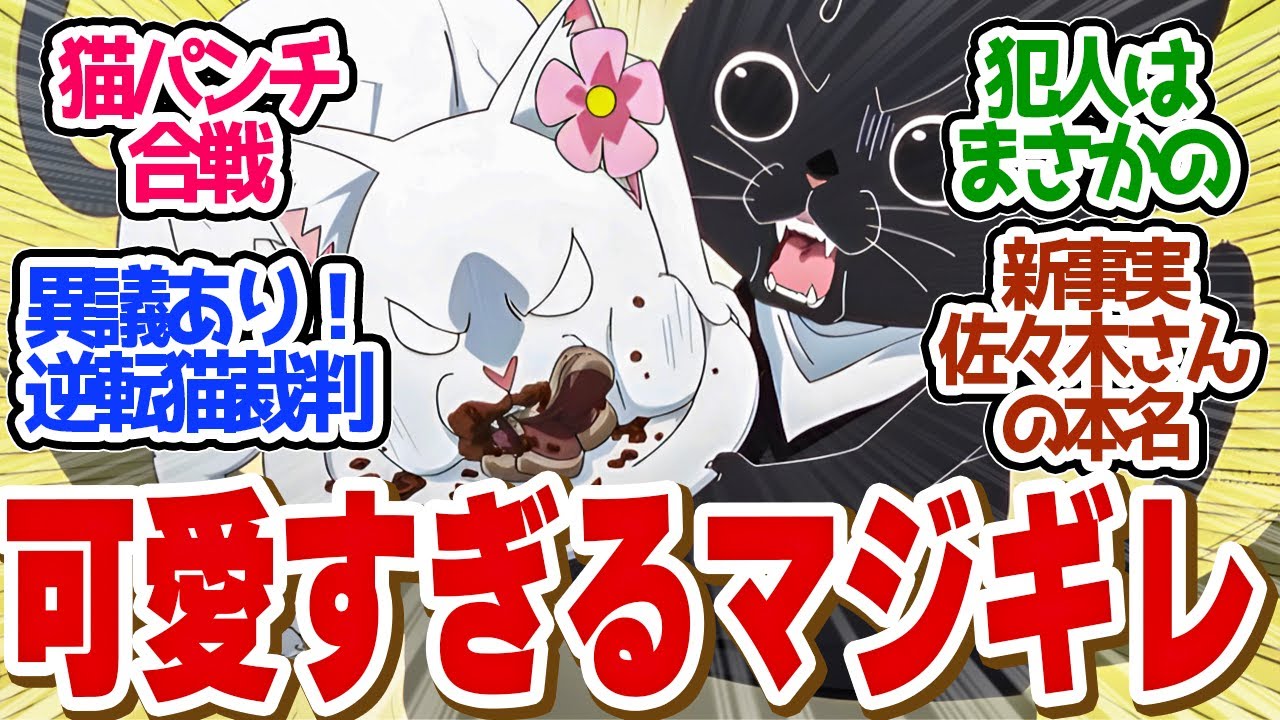 【 赤猫 9話 】開廷！犯猫は●●？マジギレなのに可愛すぎる第９話の読者の反応集【 アニメ 赤猫ラーメン 】