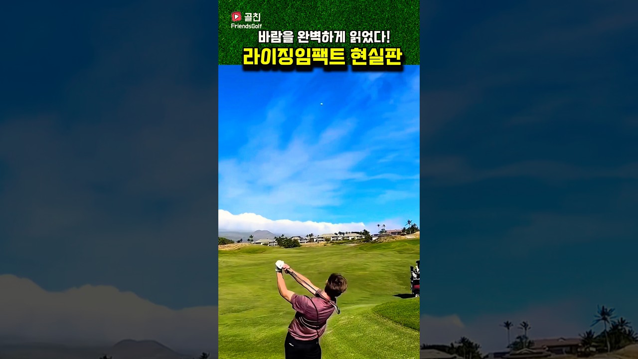 바람을 완벽하게 읽었다! 현실판 라이징임팩트