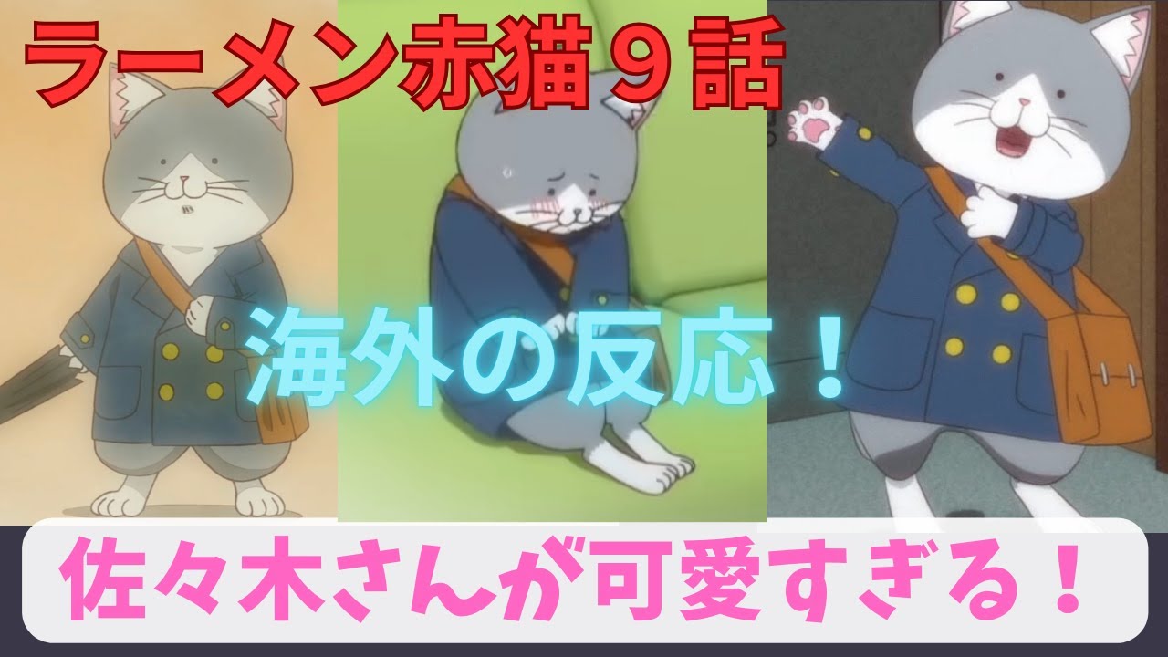 【ラーメン赤猫９話】海外「佐々木さんの可愛い姿がいっぱい見れた！」【海外の反応】
