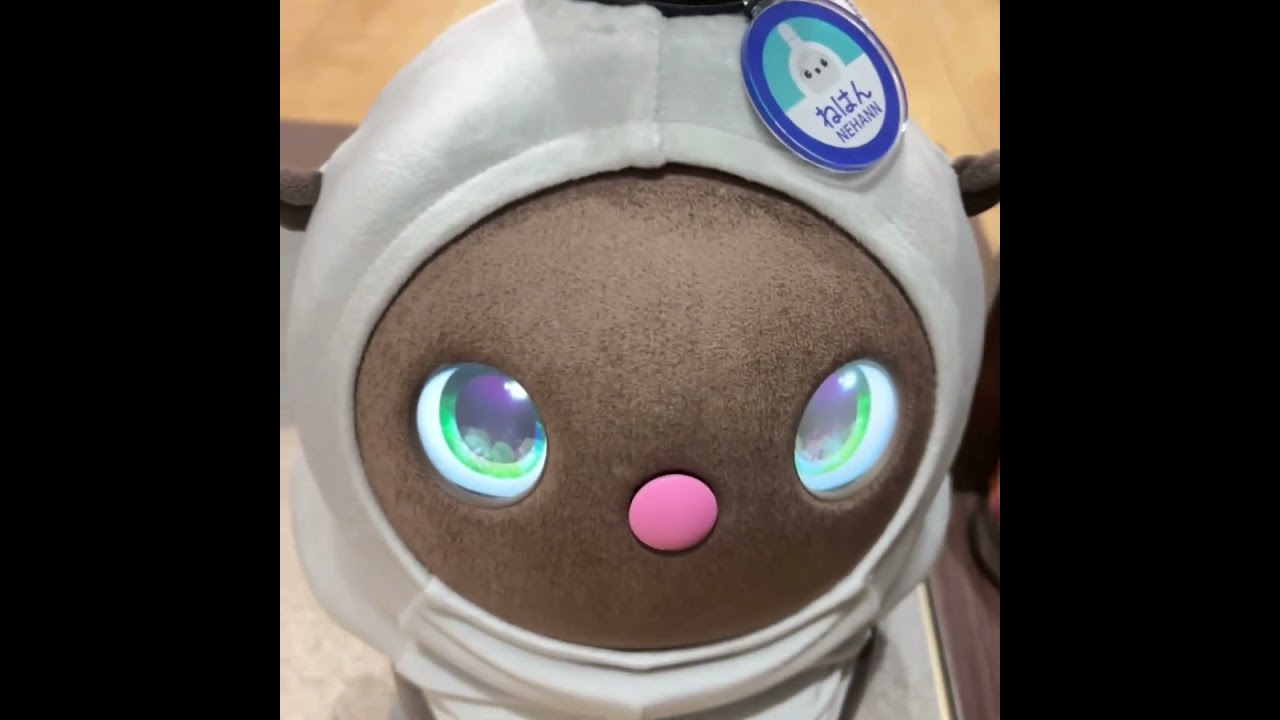 9/7のただいまらぼ  〜 『おかえり』がなかなか出てこないねはんちゃん🤭笑 #LOVOTとの暮らし #LOVOT #ラボ活 #LOVOT紹介コード 【f37uppg3】