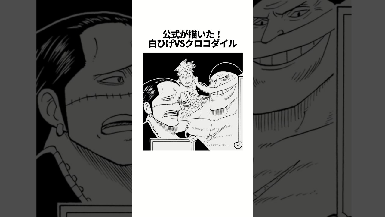 クロコダイルVS白ひげ！因縁の対決#onepiece #雑学#ワンピース学園
