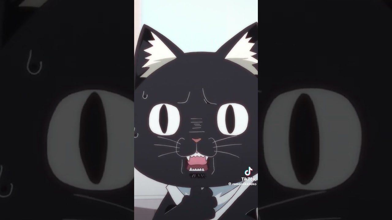 ラーメン赤猫シリーズ