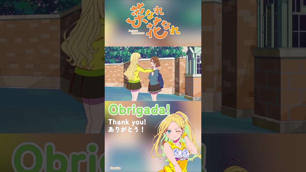 "Obrigada" Anna speaking Portugese "Narenare -Cheer for you!-" #annaaveiro #narenare #shorts #菜なれ花なれ