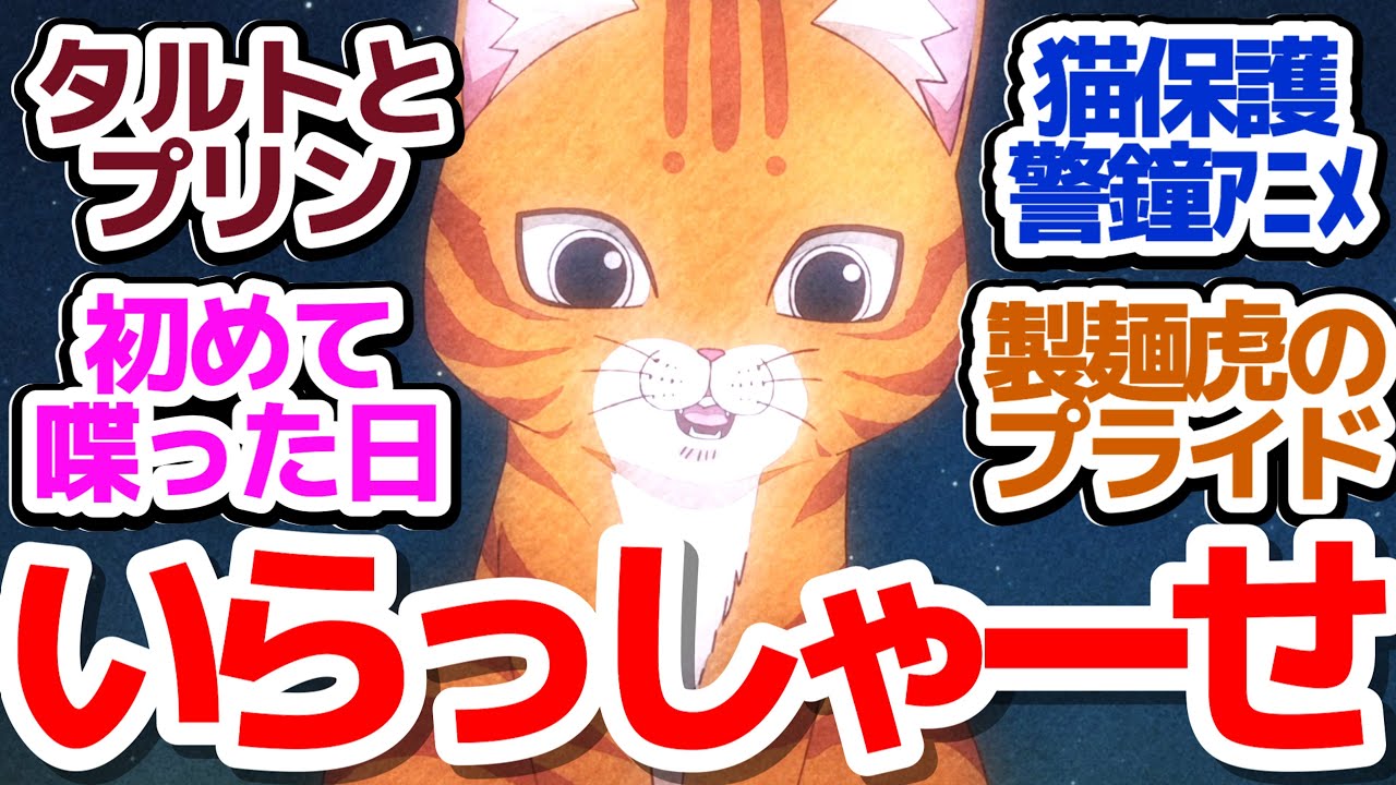 【ラーメン赤猫 11話】タルトちゃんプリンちゃん（現文蔵店長＆佐々木CEO）の子猫時代が可愛すぎる件＆猫好き弁護士念願達成？『ラーメン赤猫』第11話反応集＆個人的感想【反応/感想/アニメ/X/考察】