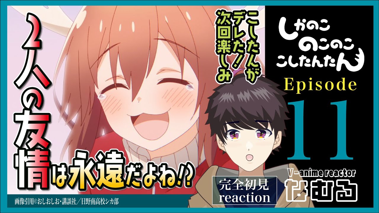 【同時視聴/しかのこのこのここしたんたん】第11話 完全初見リアクション MyDeerFriendNokotan Episode11 Anime Reaction