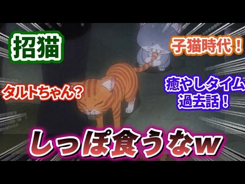 【ラーメン赤猫 11話】アニメ１１話対する視聴者の反応/感想｜【反応集】【アニメ】【2024夏アニメ】「アニメ感想」