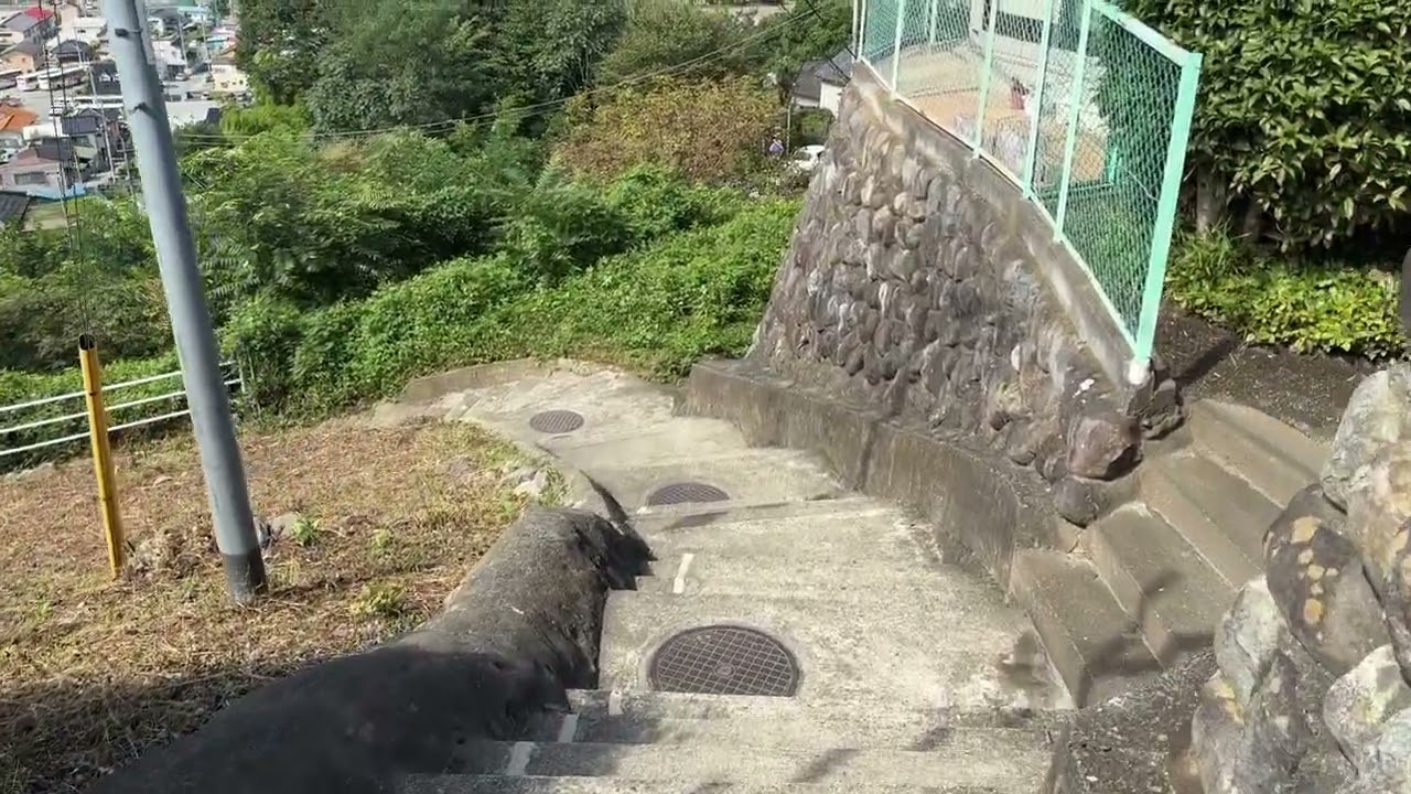 菜なれ花なれ舞台、団子坂(トンネル坂)上半分降り　2024.9.11