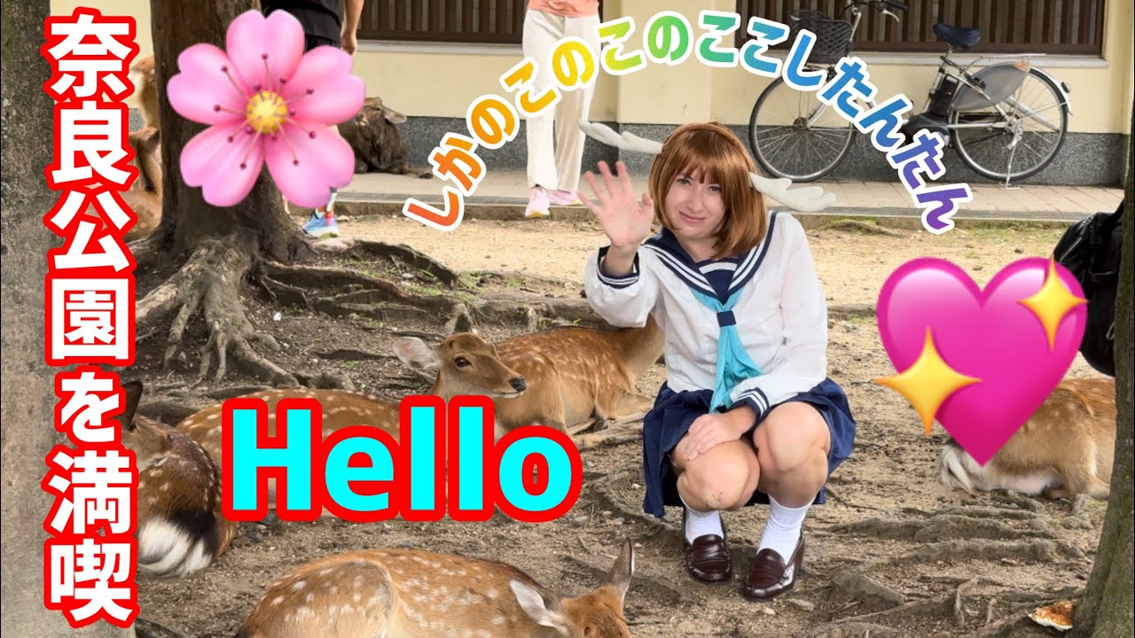 しかのこのこのここしたんたん💖奈良公園を満喫🦌