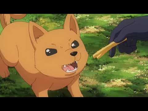 エルフさんは痩せられない。